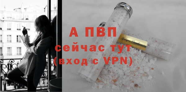 стафф Тобольск