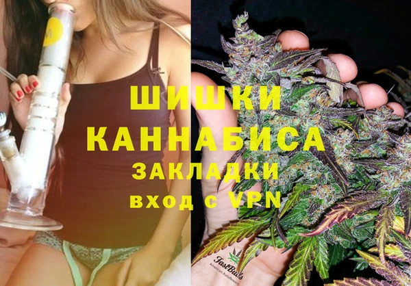 стафф Тобольск